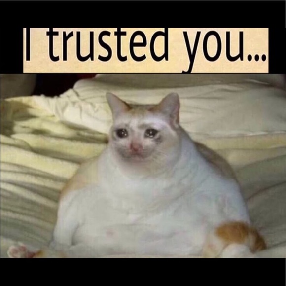 Meet your Posher, Kat - Picture 5 of 7